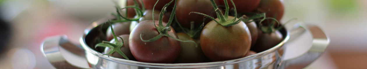 Tiny Tomato Farm